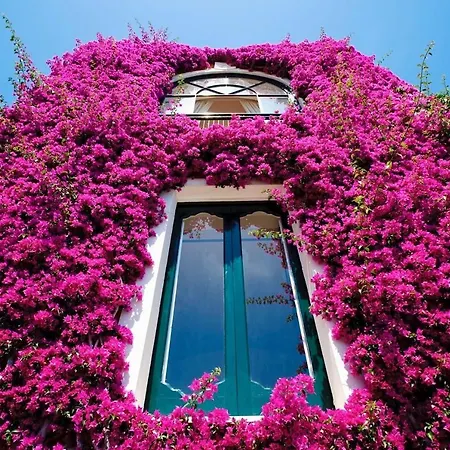 Villa Fiorita